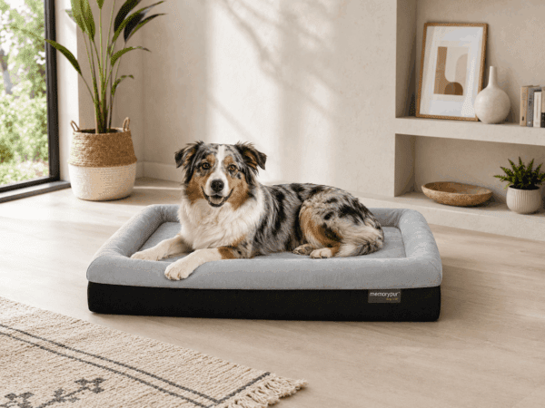 Paniers pour chiens