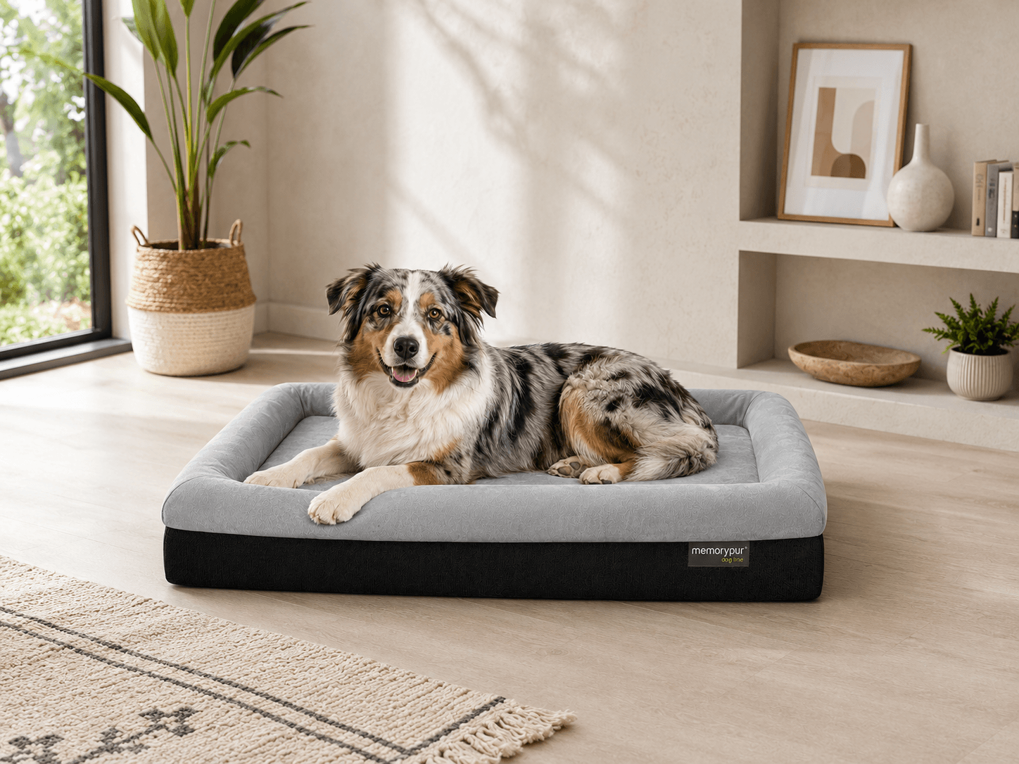 Paniers pour chiens